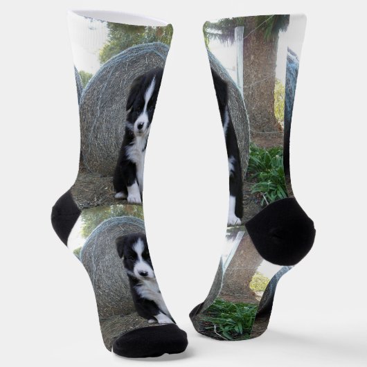 Border Collie Welpe Farm Life, Socken (Gewinkelt)