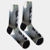 Border Collie Welpe Farm Life, Socken (Rechts)