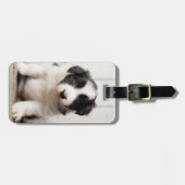 Border-Collie-Welpe Gepäckanhänger (Vorderseite horizontal)