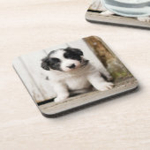 Border-Collie-Welpe Getränkeuntersetzer (Linke Seite)