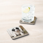 Border-Collie-Welpe Getränkeuntersetzer (Rechte Seite)