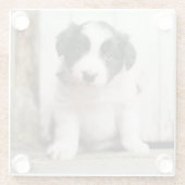 Border-Collie-Welpe Glasuntersetzer (Rückseite)