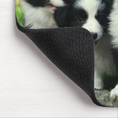 Border Collie Welpe Hund Mousepad (Ecke)