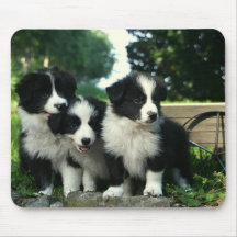 Border Collie Welpe Hund Mousepad