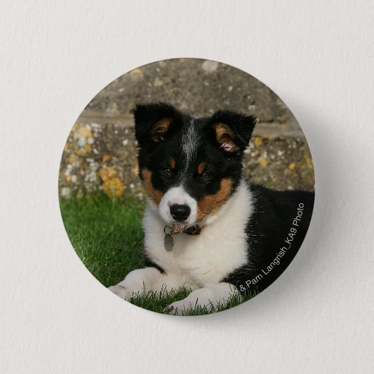 Border-Collie-Welpe mit Blatt im Mund Button (Vorderseite)
