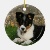 Border-Collie-Welpe mit Blatt im Mund Keramikornament (Hinten)