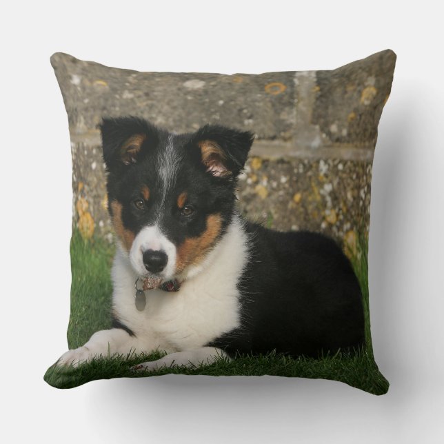 Border-Collie-Welpe mit Blatt im Mund Kissen (Vorderseite)
