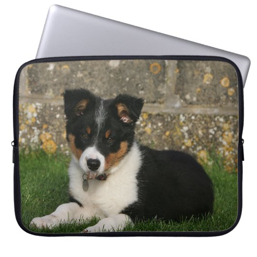 Border-Collie-Welpe mit Blatt im Mund Laptopschutzhülle (Vorderseite)