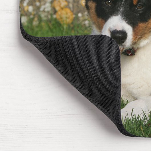 Border-Collie-Welpe mit Blatt im Mund Mousepad (Ecke)