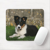 Border-Collie-Welpe mit Blatt im Mund Mousepad (Mit Mouse)