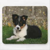 Border-Collie-Welpe mit Blatt im Mund Mousepad (Vorne)
