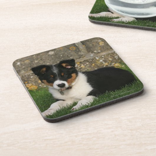 Border-Collie-Welpe mit Blatt im Mund Untersetzer (Linke Seite)