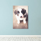 Border Collie Welpe mit blauen Augen Leinwanddruck (Insitu (Holzboden))
