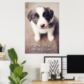 Border Collie Welpe mit blauen Augen Poster (Heimbüro)