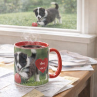 Border Collie Welpe mit rotem Ball Kaffee