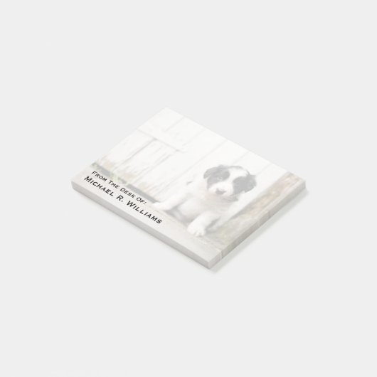 Border-Collie-Welpe Post-it Klebezettel (angewinkelt)