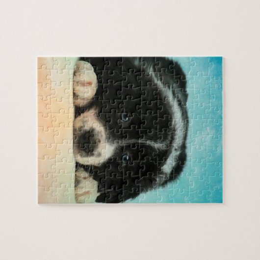 Border-Collie-Welpe Puzzle (Horizontal)