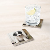 Border-Collie-Welpe Rechteckiger Pappuntersetzer (Vor Ort)