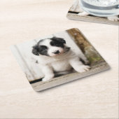 Border-Collie-Welpe Rechteckiger Pappuntersetzer (angewinkelt)