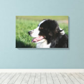Border Collie Welpe schluchzen Leinwanddruck (Insitu (Holzboden))