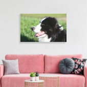 Border Collie Welpe schluchzen Leinwanddruck (Insitu (Wohnzimmer))