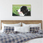 Border Collie Welpe schluchzen Leinwanddruck (Insitu (Schlafzimmer))