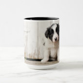 Border-Collie-Welpe Tasse (Zentrum)