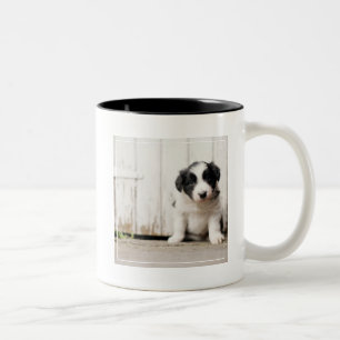 Border-Collie-Welpe Zweifarbige Tasse