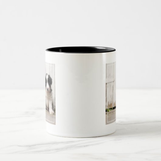 Border-Collie-Welpe Zweifarbige Tasse (Mittel)