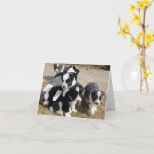Border-Collie-Welpen-Anmerkungs-Karte Karte (Gelbe Blume)