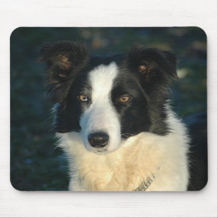 Border Collie Welpen-Hundeliebe-Mauspad Mousepad