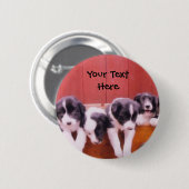 Border-Collie-Welpen im Fach-Knopf Button (Vorne & Hinten)