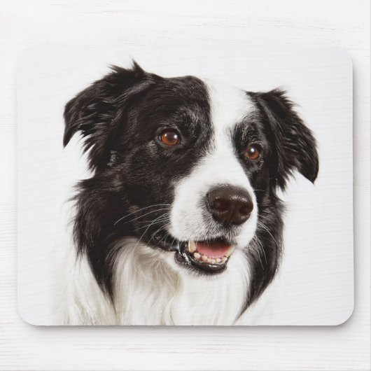 Border Collie Welpen-Mauspad Mousepad (Vorne)