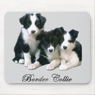 Border-Collie-Welpen Mousepad
