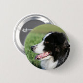 Border-Collie-Welpen-Niederlegung Button (Vorne & Hinten)