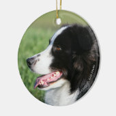 Border-Collie-Welpen-Niederlegung Keramikornament (Links)