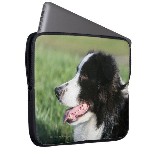 Border-Collie-Welpen-Niederlegung Laptopschutzhülle (Vorne Rechts)
