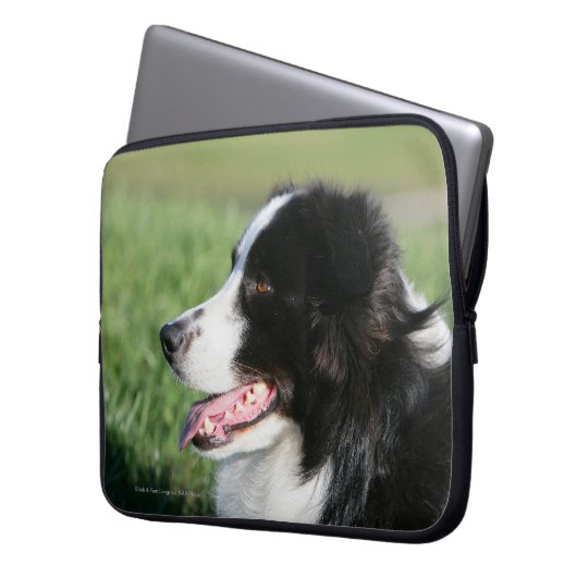 Border-Collie-Welpen-Niederlegung Laptopschutzhülle (Vorderseite Links)