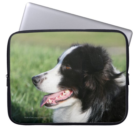 Border-Collie-Welpen-Niederlegung Laptopschutzhülle (Vorderseite)