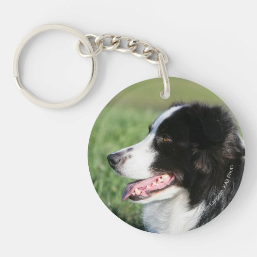 Border-Collie-Welpen-Niederlegung Schlüsselanhänger (Vorderseite)
