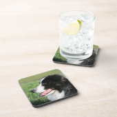 Border-Collie-Welpen-Niederlegung Untersetzer (Rechte Seite)