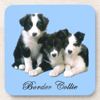 Border-Collie-Welpen Untersetzer