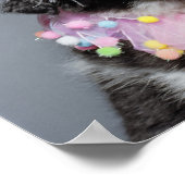 Border Collie Welpenhut Poster (Ecke)