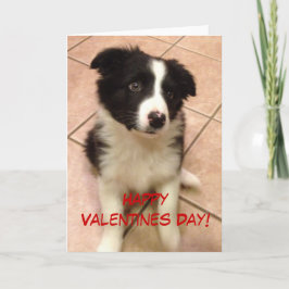 Border Collie Welppy Valentine's Day Card Feiertagskarte