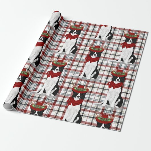 Border Collie Western Holiday Kariert Weihnachten Geschenkpapier (Ungerollt)
