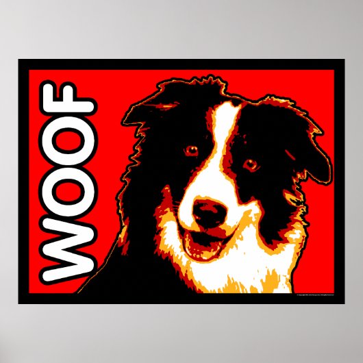 Border Collie WOOF Poster (Vorne)