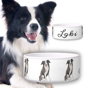 Border Collie Zeichnend Name des Hundes Napf