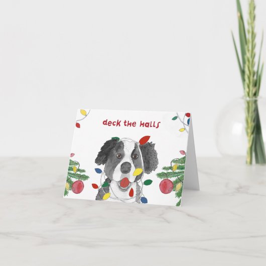 Border Collie zu Weihnachten (Vorderseite)