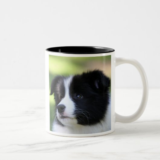 Border Collie Zweifarbige Tasse (Rechts)