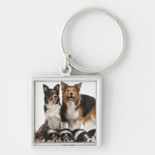 Border-Colliefamilie Schlüsselanhänger